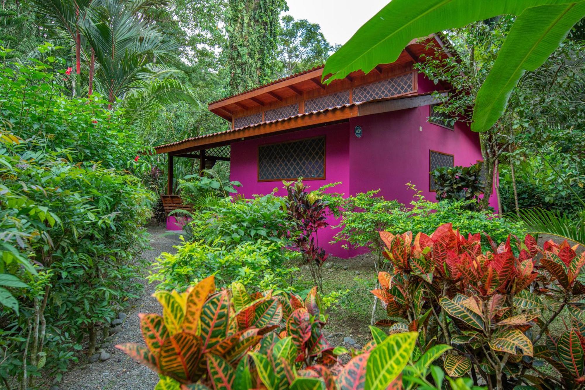 Hotel Casa Merlin Puerto Viejo de Talamanca Exterior photo